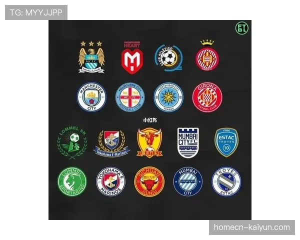 城市集团运作模式对法甲俱乐部商业运营启示